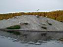 P1010186.JPG